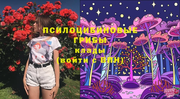 прущие крисы Аркадак