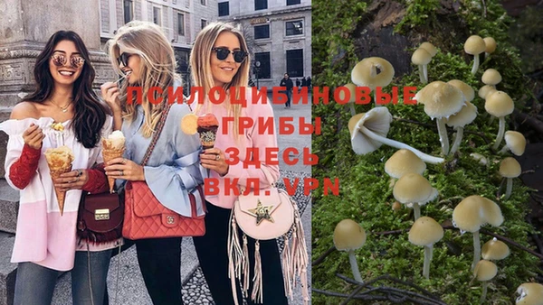 прущие крисы Аркадак