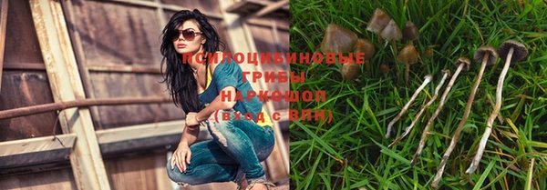 синтетический гашиш Арсеньев