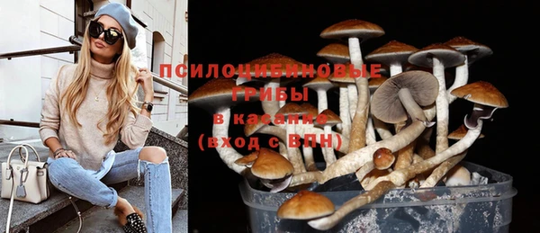прущие крисы Аркадак