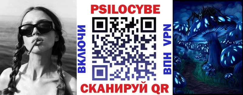 Псилоцибиновые грибы Psilocybine cubensis  кракен как зайти  Темников 